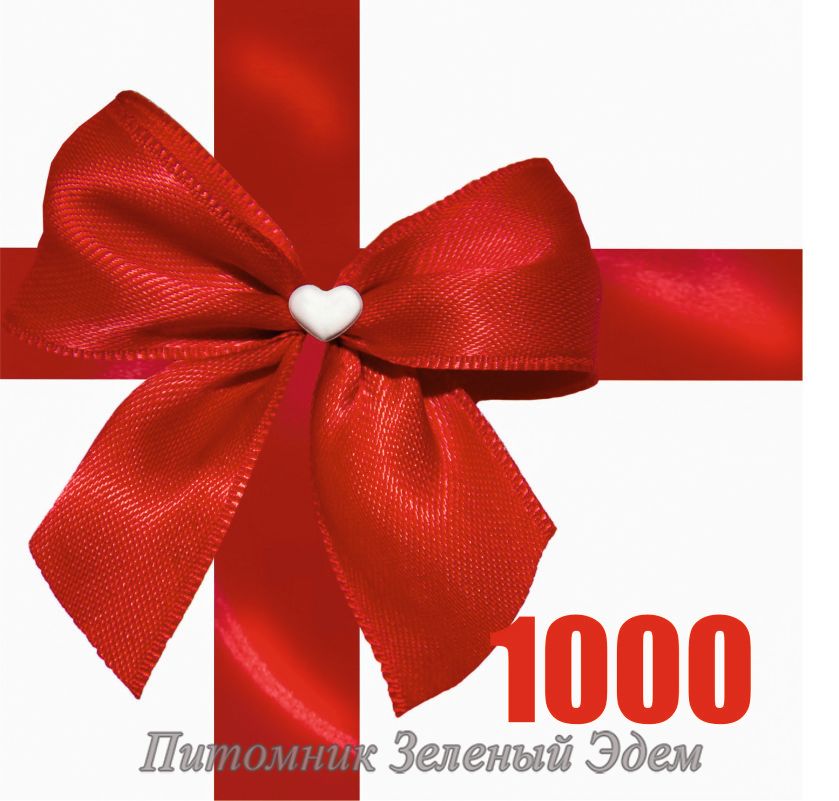 Подарунковий сертифікат 1000