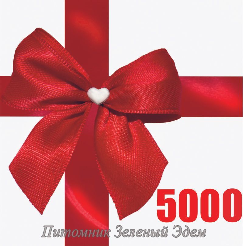 Подарунковий сертифікат 5000